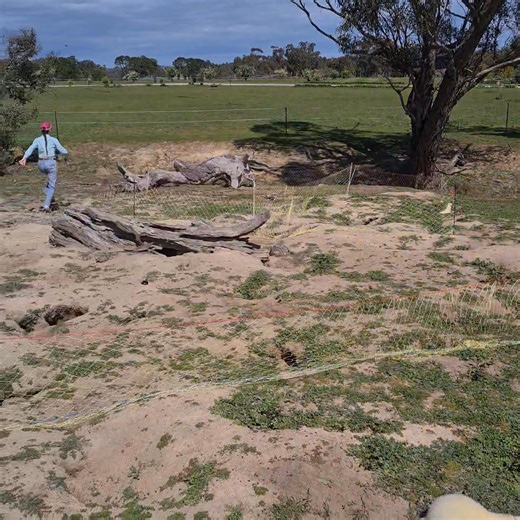 Out ferreting with my grandkids | Ferret Netting & Equipment Australia