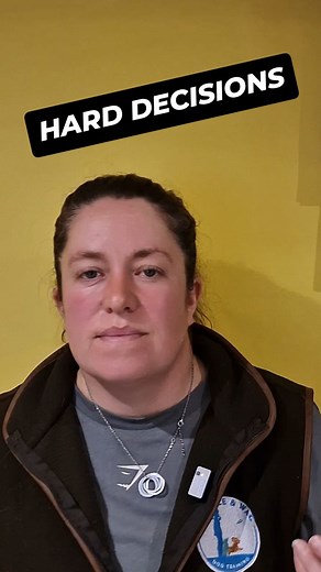 79 reactions · 19 comments | Making tough decisions for the best interests of our dogs. What tough things have you done? #suffolkspaniels #dogtraininginsuffolk #cockerspaniel #gundogtrainingsuffolk #dogtraininginipswich #suffolkdogtraining #gundogtraining | Whistle and Wag Dog Training | Facebook