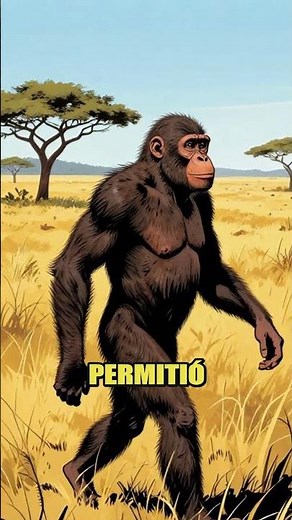 Australopithecus: el secreto del bipedismo en la evolución humana