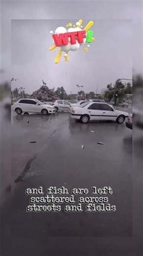 Place where it rains fish! | Educational Documentary Shorts #wildlife #facts