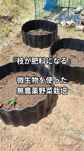 枝を肥料にして無農薬野菜を育てる