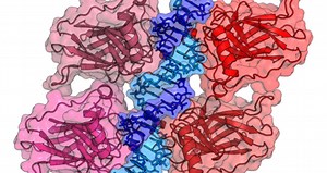 How can knowing how DNA repairs itself help defeat cancer?