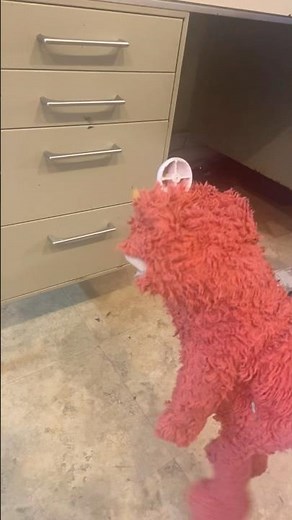 elmo world kids quiz