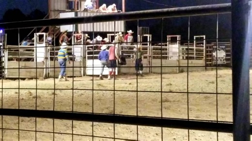7 year old kid riding Super Flea buckin bull #rodeo #buckinbulls #chapsupspursdown #foryou #country