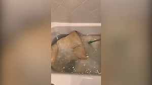 Woman cleans boyfriend's grim 10 year untouched pillows