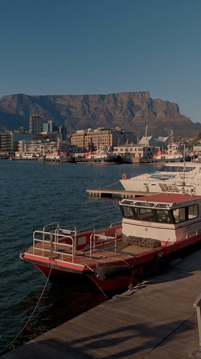 IT'S OUR BIRTHDAY MONTH! For 35 amazing years, we've been making magic happen at the V&A Waterfront. This September, join the party as we celebrate with a month of unforgettable events, exclusive deals, and a chance to share YOUR favorite V&A memory. Stay tuned for more updates and let's make more memories together. #VA35Memories #vandawaterfront #myVAjoy #ExploreVandA | V&A Waterfront