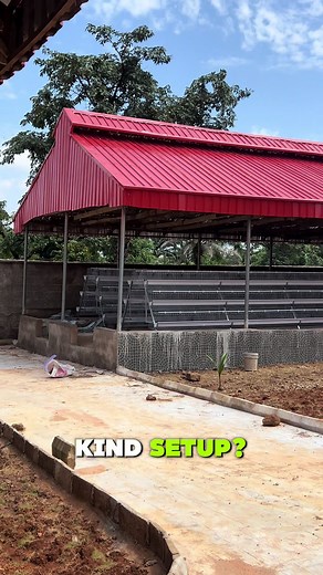Most Beautiful Egg Production Farm in Nigeria