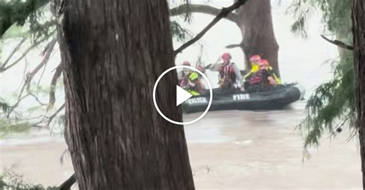 Woman Rescued From a Tree During Floods in Texas