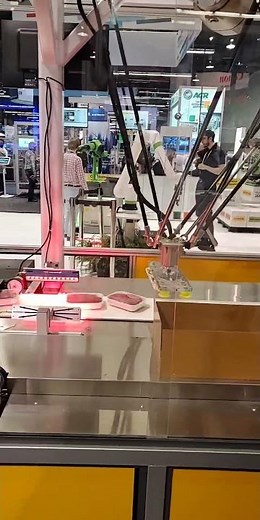Meat Packing Robot