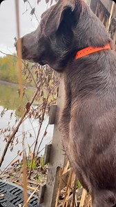 5.2K views · 2.2K reactions | A few years ago, we purchased a farm...