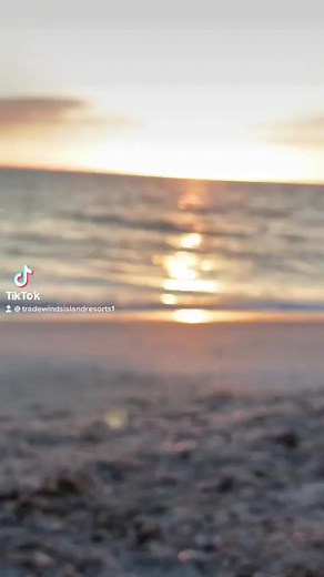 4.1K views · 43 reactions | TradeWinds Resort on Reels | Facebook