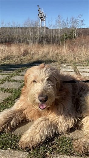 if you could read my mind📖story 🕑❤️