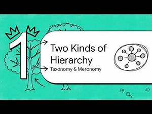 Taxonomy vs Meronomy: The Difference Made Simple