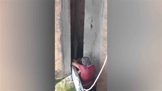 Python stuck in reservoir sluice rescued in India