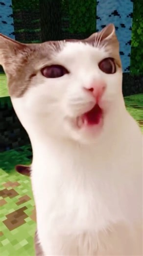 Cat On Craft on Instagram: "No Watermark Video 😺⛏️ #reels #cat #minecraft #funny"