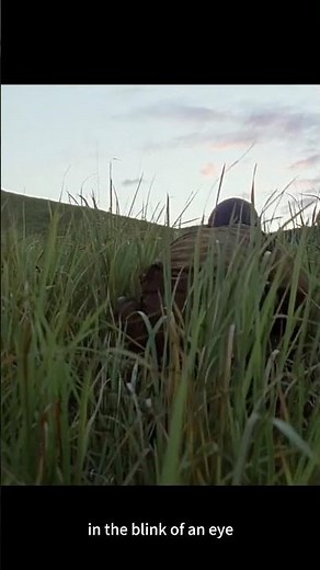 Silence Before the Storm 💥 | The Thin Red Line