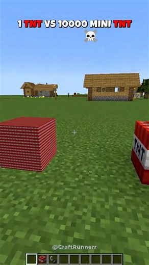 1TNT vs 1000 MINI TNT 💣🤯