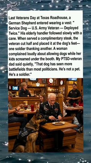 Military Service Dog Silences Entire Restaurant 🇺🇸🐕