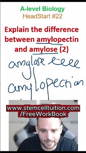 OCR A 3.3 - structure and function of amylose vs amylopectin