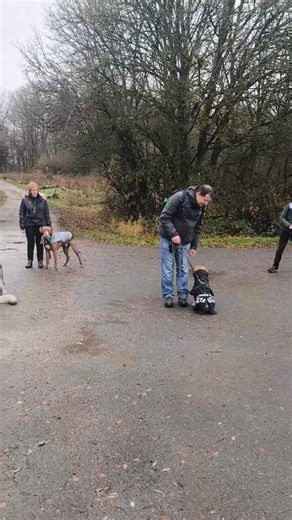 Séance de samedi matin, on est bien ici avec nos grosses doudoune nos bonnets et nos chiens lol | La Patte Blanche