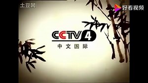 CCTV41992-2020历年ID合集
