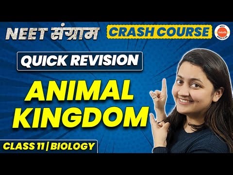 Animal Kingdom in One Shot | Class 11 Biology Chapter 4 | NEET 2023 | CBSE | NCERT | Ambika Mam