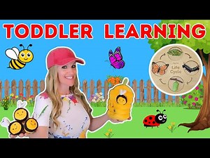 Bees & Butterflies 🦋| Preschool & Toddler Learning Video | Insects For Kids | Bugs | Pollination