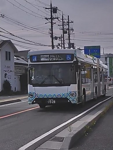 近江鉄道バス 滋賀200か1528 2026年1月中旬登録 2025年9月製 いすゞエルガデュオ・LX525Z1 連接バス 玉川小学校前バス停付近 #近江鉄道 #バス #路線バス #シャトルバス