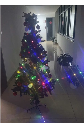 Use the string lights to decorate the Christmas tree 🎄 #bestchristmasgift #stringlights #decoration #giftidea #giftforkids