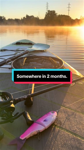Bass Fishing Techniques with Swimbaits