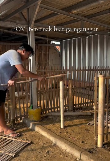 Beternak Biar Gak Nganggur: Cara Mulai Beternak untuk Pemula