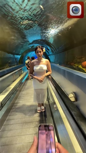 HD Camera: The Perfect Companion for All Your Moments