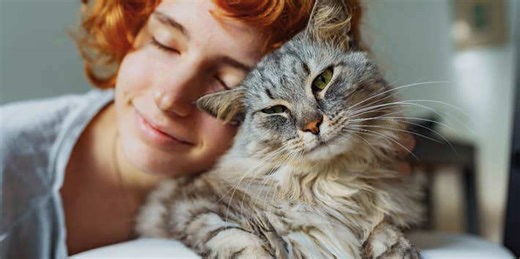 Research shows cat people usually have these 8 highly intelligent traits