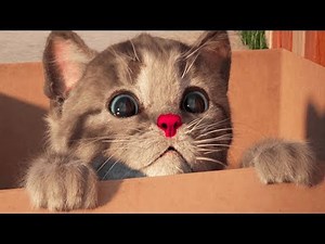 Little Kitten My Favorite Cat - Play Fun Kitten Pet Care Animation Games For Children By Fox & Sheep