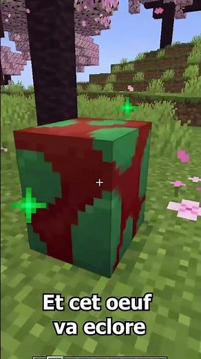 FAIRE ECLORE LE SNIFFER DE MINECRAFT 1.20