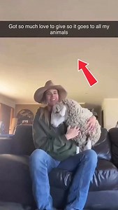 28K views · 185 reactions | You might see farmers cuddling animals on social media… But behind closed doors, they exploit them, betray their trust, and send them to be shot in the head, electrocuted, and have their throats slit - all for profit. See the truth & free help going vegan ➡️ vganbooty.com #animalrights #farming #sheep #vegan | Tash Peterson | Facebook