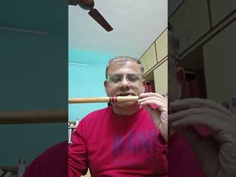 Lesson 1 What sound is expected from a D # basuri.