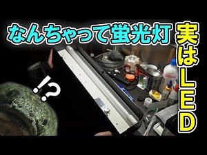 【アクアリウム】 直管ＬＥＤランプ 【器具】