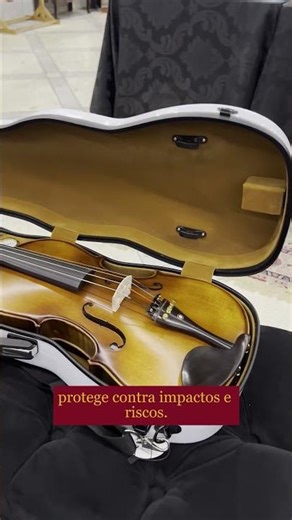 Antoni Marsale professional viola case