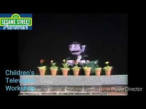 The Count Count 7 Seven Flowers