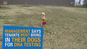 53K views · 619 reactions | A Yaphank apartment complex will require...