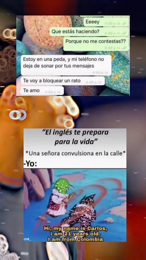 Memes de Humor: Ligando Com Carlo