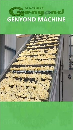 Automatic Industrial continuous multi-layer hot air tunnel mesh belt drying machine dryer Dehydrator
