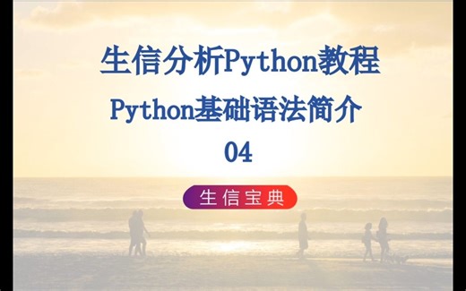 p4 Python基础语法简介04