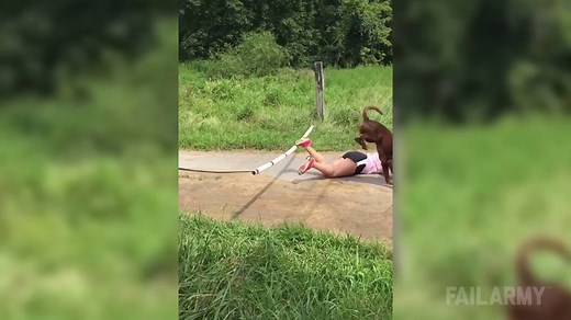 2.2K shares · 1.9K comments | Jeez, that dog must be thinking, "____" | FailArmy | Facebook