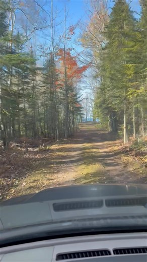 Dave Perron on Reels | Facebook