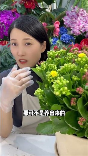 Master the Secrets of Flower Blossoming: 2 Key Points to Know