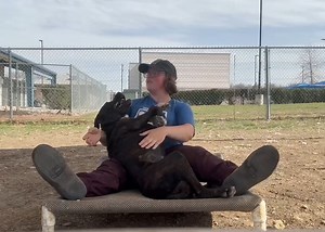 9.4K views · 195 reactions | POV: Milton has decided you're his pal....