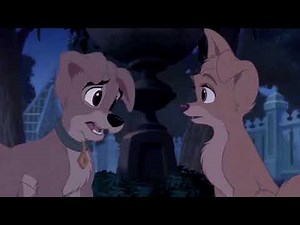 Scamp x Angel Moments (Part 3)