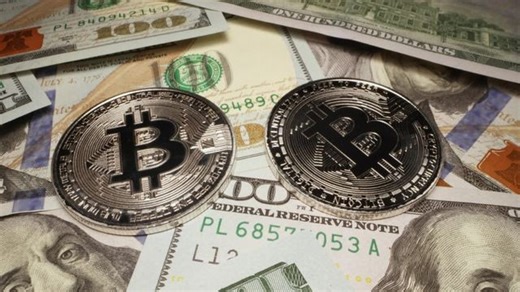 Hund statt Vogel: Musk ändert plötzlich das Twitter-Logo